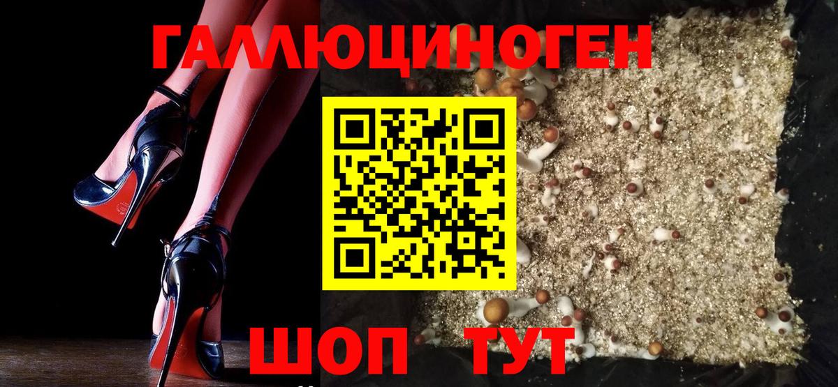 Галлюциногенные грибы мухоморы  Галлюциногенные грибы GOLDEN TEACHER  Шали  Вход с VPN 